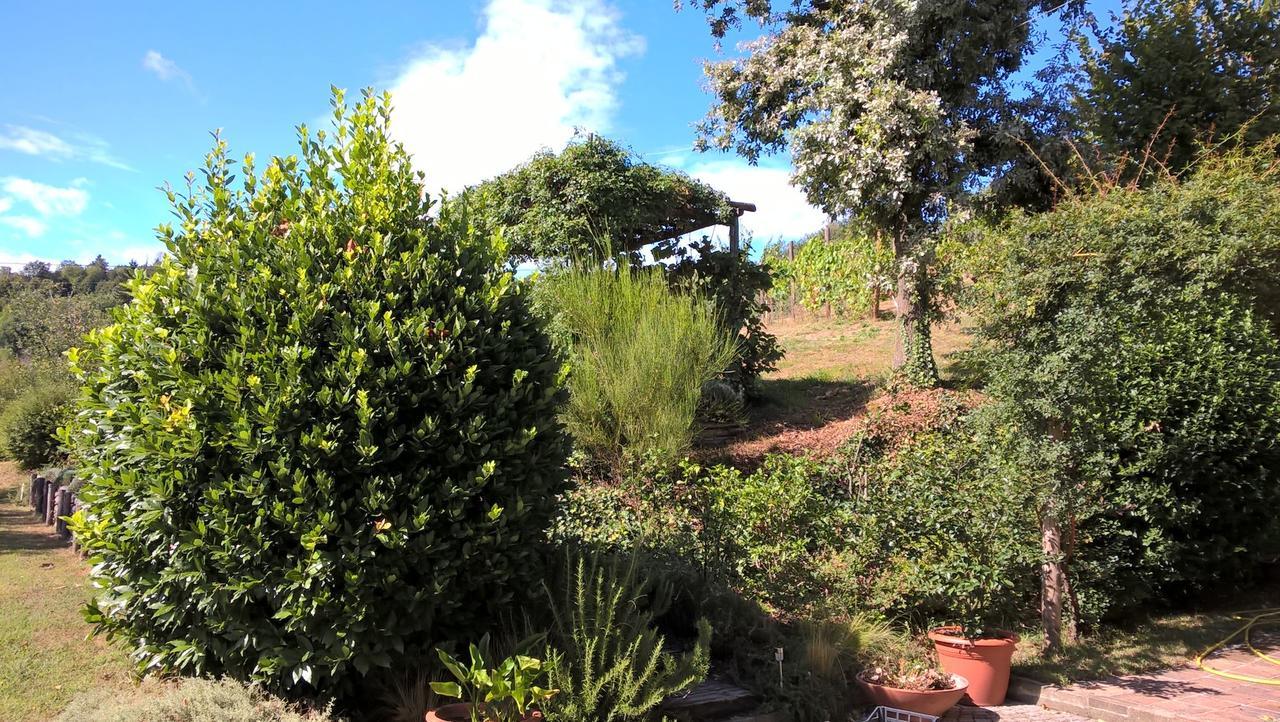Sotto La Luna Bruna B&B Cocconato Exterior photo