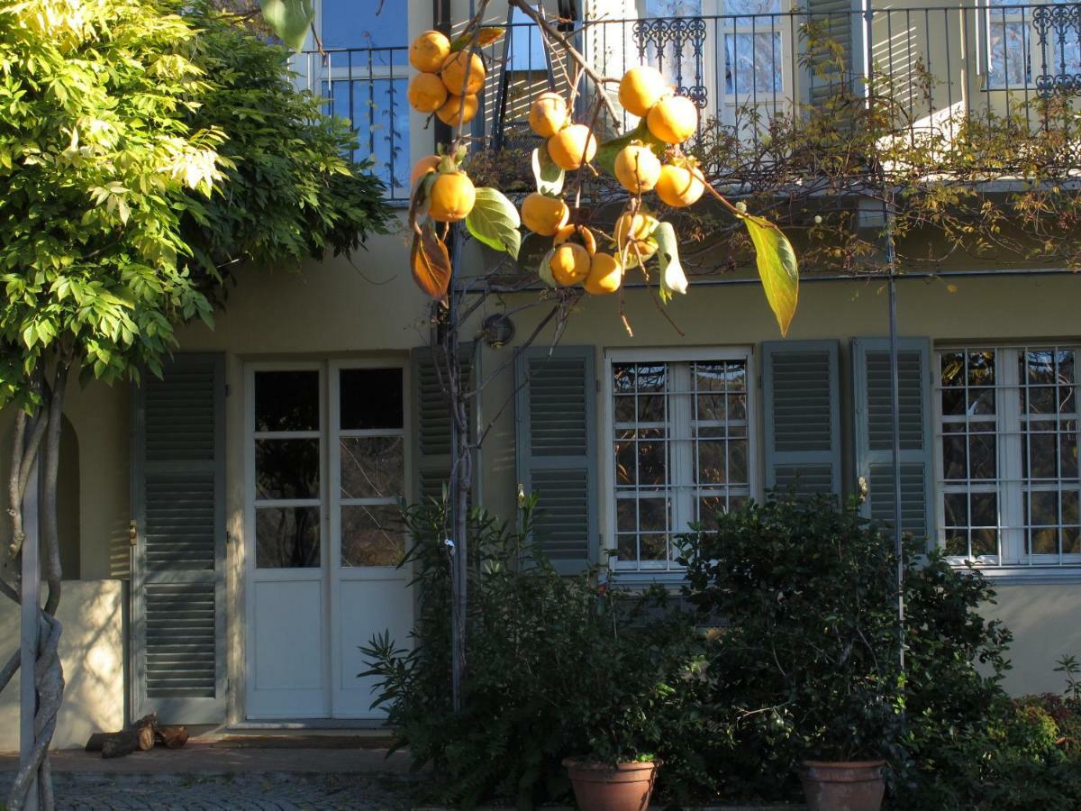 Sotto La Luna Bruna B&B Cocconato Exterior photo